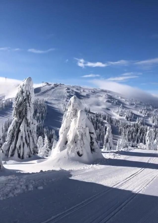 Ferienwohnung Sunny Kop Cardaci Kopaonik Exterior foto